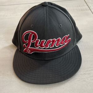 PUMA Flex Gray Hat